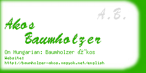 akos baumholzer business card